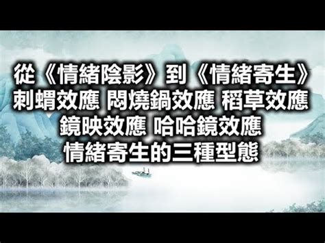 哈哈鏡效應|★【金言哲學】哈哈鏡效應《摘自『許皓宜「情緒寄生」一書』》…